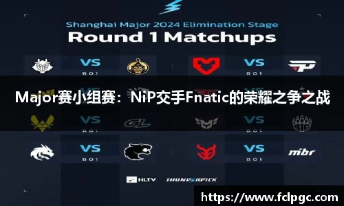 Major赛小组赛：NiP交手Fnatic的荣耀之争之战